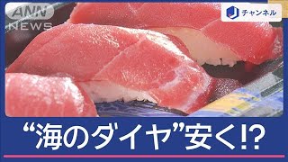 クロマグロ漁獲枠“拡大”見通し…“海のダイヤ”安くなる？ 魚屋歓喜【スーパーJチャンネル】2024年12月3日 [upl. by Nivlak73]