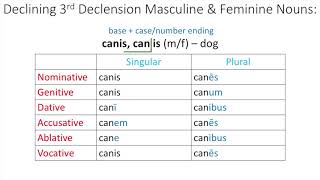 3rd Declension Nouns [upl. by Aisnetroh230]