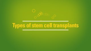 Types of stem cell transplants autologous vs allogeneic [upl. by Lilaj]