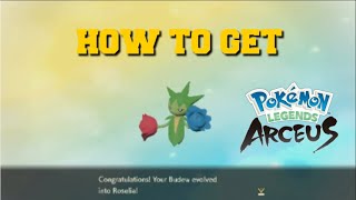 HOW TO EVOLVE BUDEW INTO ROSELIA IN POKEMON LEGENDS ARCEUS HOW TO GET ROSELIA [upl. by Nogaem]