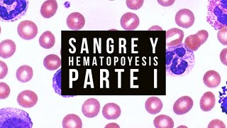 🩸SANGRE y HEMATOPOYESIS  Parte I [upl. by Gabby]