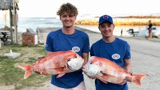 Wild spearfishing in South Africa Best of Arniston Port Elizabeth and Cape Town [upl. by Elockcin]