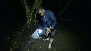 Catching Land Crabs at Night Catch amp Cook🇫🇯 [upl. by Weidner293]