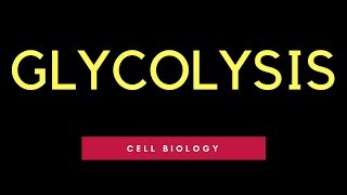 GLYCOLYSIS or EMBDENMEYERHOF PATHWAY [upl. by Emmalynne]