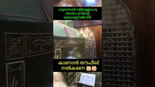 ഹുസൈൻ റളിയള്ളാഹു അൻഹുവിൻ്റെ മഖാംഈജിപ്ത് maqam of great Husain ra maqbara maqam islam views [upl. by Laertnom]