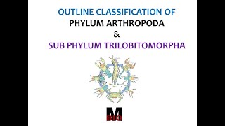 CLASSIFICATION OF ARTHROPODA amp SUBPHYLUM TRILOBITOMORPHA [upl. by Allister917]