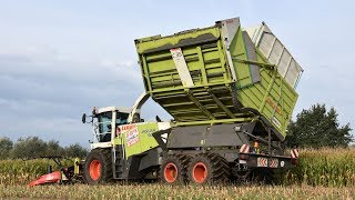 Claas Jaguar 900 Fieldshuttle  De Bruyne Agro  mais 2017 [upl. by Ikin]