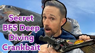 Secret BFS Deep Diving Crankbait [upl. by Stoughton]