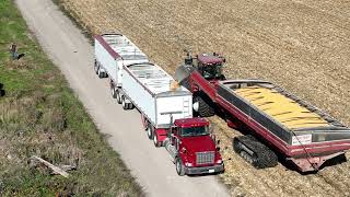 CANADIAN FARMER  BIG GUNS  HUGE Geringhoff 16 row corn head on a MONSTER Claas Lexion 8700 combine [upl. by Sukhum301]