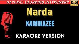 Narda  Kamikazee HD Karaoke Version [upl. by Harewood]