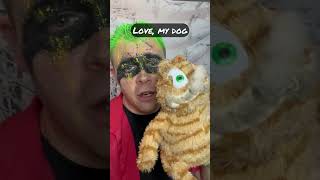 Lazy Orange CAT  Does this look like Love to you cat catvideos cats catshorts funny lol fun [upl. by Darom]