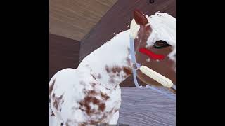 Poor boots horse horseriding equestrian roblox strideway [upl. by Itch]