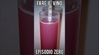 Fare il vino EPISODIO 0 tutti i passaggi per produrlo in casa short [upl. by Jacoby54]