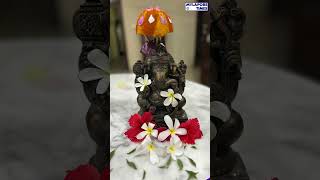 2024 Vinayagar Chaturthi Contest Winners  Part 1  EcoFriendly Umbrellas  Mylapore Times [upl. by Boaten8]