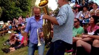 Waldfensterer Bergmusikanten auf der Gemündener Hütte 2016  Bajazzo [upl. by Nosneb]