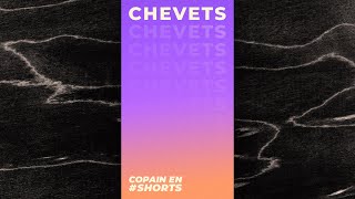 CHEVETS  COPAIN EN SHORTS [upl. by Eiveneg]