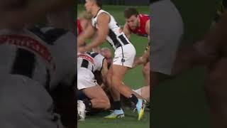 Pies swarm Langdon after SPICY comments 🌶  Shorts  AFL [upl. by Inessa]