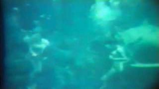 Weeki Wachee 1961Quantic  Archipelago [upl. by Curcio979]