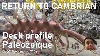 FR DECK PROFILE PALEOZOÏQUE WCQ Royaume du TCG Je nai pas top le deck est bof [upl. by Wentworth]