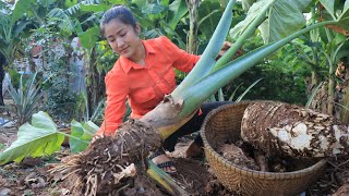 The Giant Taro Root Is Grown By Grandmother  Healthy taro root soup cooking  Cooking with Sreypov [upl. by Roede]