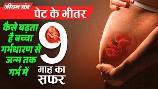 कैसे बढ़ता है बच्चा गर्भधारण से जन्म तक गर्भ में  How Do A Baby Develop In Womb In 9 Month [upl. by Aicertal431]