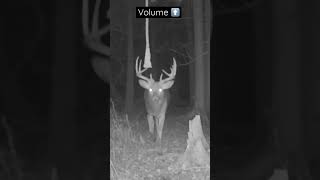 HempScent Rope videos are some of my favorite 🔥🦌 deer deerhunting whitetaildeer hunting buck [upl. by Ecnirp]