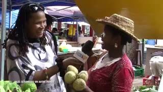 REPORTAGE Les SEYCHELLES un autre monde 3 [upl. by Hartmunn]