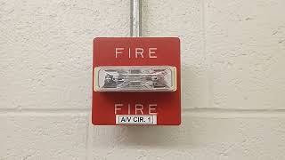 Pennsylvania University Wheelock Fire Alarms [upl. by Haddad197]