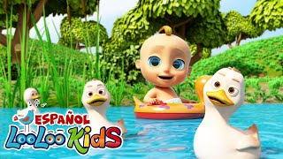 🦆 Cinco Patitos y Muchas Más Melodías 🎵  2 Horas de Entretenimiento Infantil con LooLoo [upl. by Applegate]