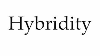 How to Pronounce Hybridity [upl. by Arlena713]