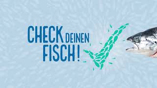 Check deinen Fisch I Achte auf die Siegel [upl. by Atnima]