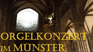 Ein Orgelkonzert im Inneren des Straßburger Münster  Frankreich 2022  Kathedrale Musik Orgel [upl. by Gnanmas]