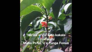 Hiva FakaTongaquotIseisa siete Kato Kakala [upl. by Aekim974]