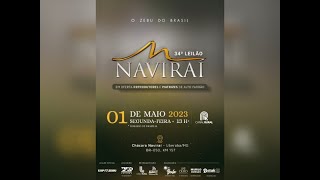 34° LEILÃO NAVIRAÍ [upl. by Arym940]