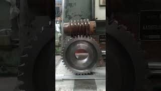 Worm gear gear hobbing machine rodagigi [upl. by Elayne477]