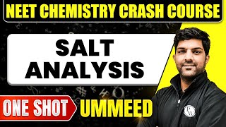 SALT ANALYSIS in 1 Shot  All Concepts Tricks amp PYQs  NEET Crash Course  Ummeed [upl. by Amick]