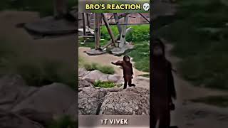 Oh no monkey memes gorilla funny edit troll [upl. by Garrott]