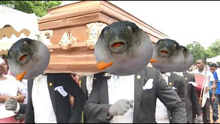 Pufferfish  Astronomia Coffin Dance Meme [upl. by Dyna]