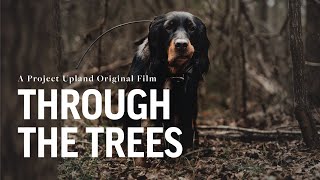 Woodcock Hunting with Gordon Setters  Project Upland Magazine with Stephen Faust [upl. by Duff]