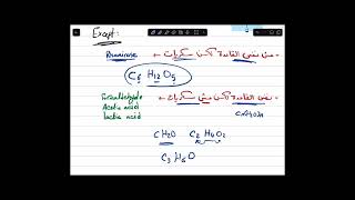 Carbohydrates 1  biochemistry  Dr Saiko Team [upl. by Katherin]