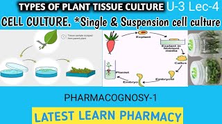 Types of Plant Culture  Cell CultureSuspension amp Single cell culture  Pcognosy U3 L4 BP405T [upl. by Nulubez346]