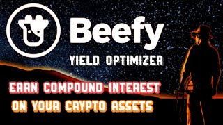 Beefy finance overview  best yield optimizer [upl. by Adrea]