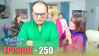 Bulbulay Season 2 Episode 250  Comedy  Ayesha Omar amp Nabeel  Momo  Mehmood Sahab [upl. by Vonny121]