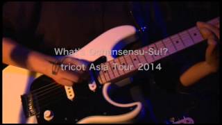 tricot quotWhats OchansensuSu Asia Tour 2014quot trailer [upl. by Llednil]