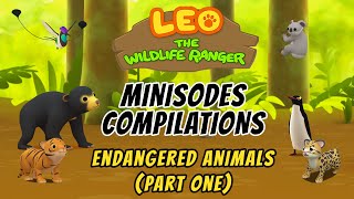 Endangered Animals Minisode Compilation Part 12  Leo the Wildlife Ranger  Animation  For Kids [upl. by Alyss335]