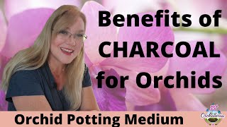 Interesting Potting Media for Orchids That Works [upl. by Popelka807]