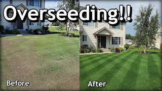 How To OVERSEED Your Lawn in SPRING  Complete Step by Step Guide [upl. by Adnileb950]