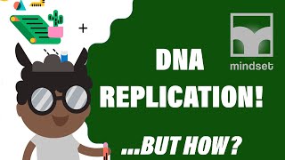 DNA Replication amp Protein Synthesis Grade 12 Life Sciences [upl. by Otila]