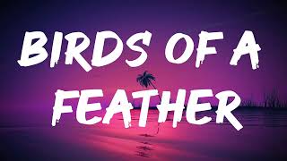 Billie Eilish  BIRDS OF A FEATHER Lyrics [upl. by Tutankhamen]