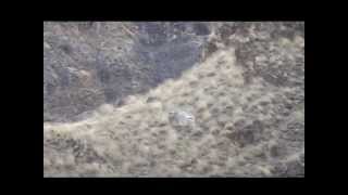 338 Lapua  1400 yards in Hells Canyon [upl. by Kerr]